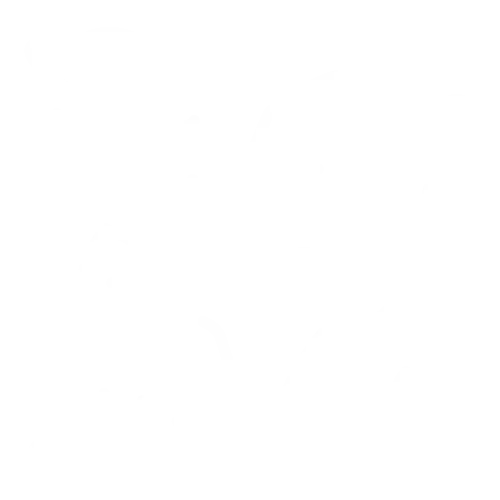 Immersive Environments Icon